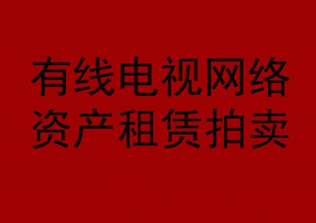博望區(qū)有線電視網(wǎng)絡資產(chǎn)租賃拍賣公告